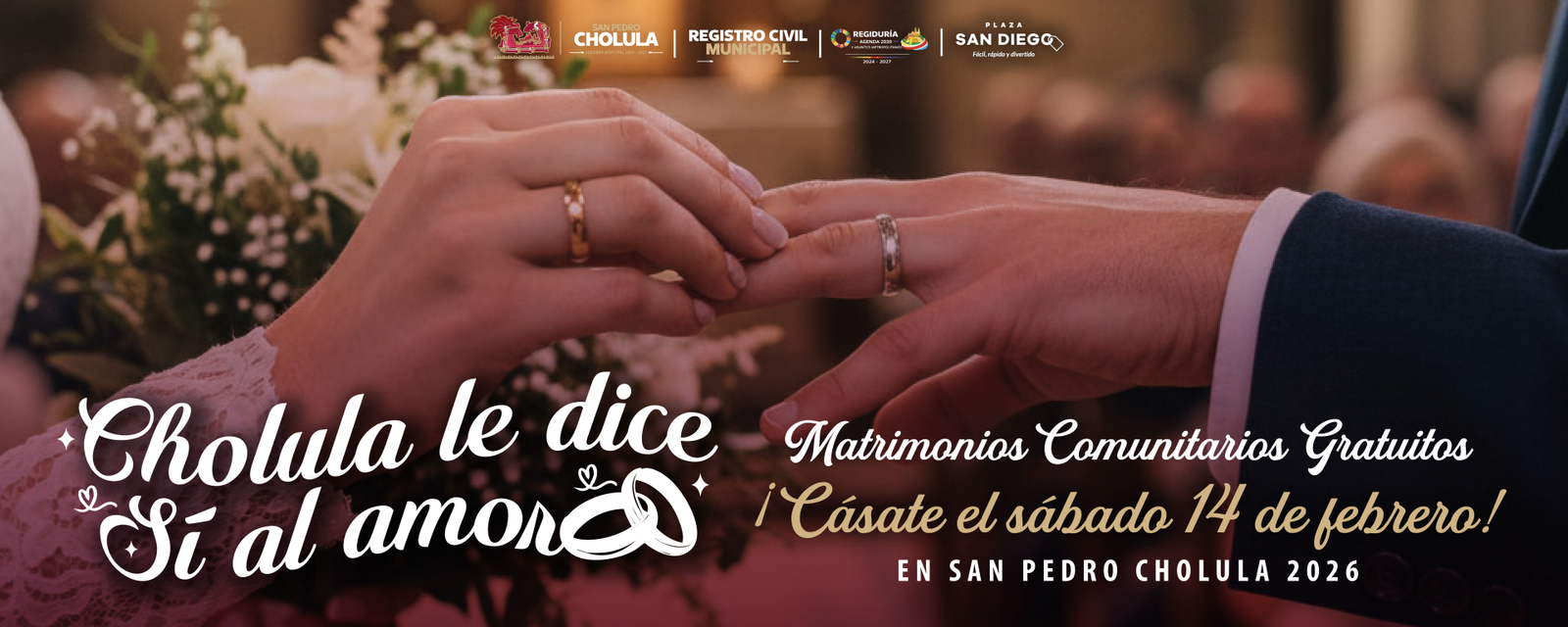 Estudio muestral sobre la participacion ciudadana en las elecciones federales